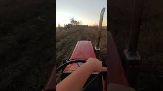 Mowing with the yanmar music [upl. by Schwarz]