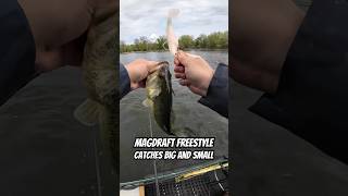 Megabass Magdraft Freestyle  don’t be afraid it catches all sizes of bass swimbait bassfishing [upl. by Dowlen81]