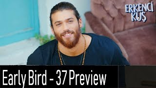 Early Bird  Erkenci Kus 37 English Subtitles Preview [upl. by Nayllij981]