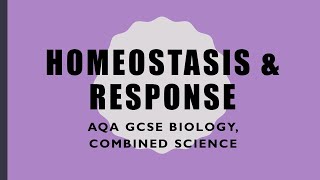 Homeostasis Revision  GCSE BiologyCombined Science [upl. by Beaufort709]