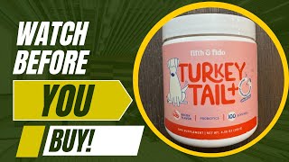 Review of Turkey Tail Mushroom for Dogs [upl. by Aneerbas]