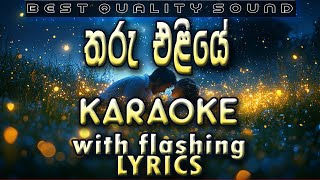 Tharu Eliye Karaoke with Lyrics Without Voice [upl. by Hermione]