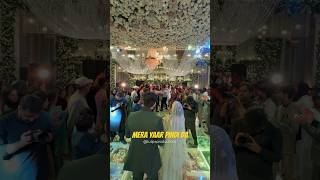 Mera Yaar Pindi Da Malkoo live wedding show booking number tulipsproductions [upl. by Ahsiemac438]