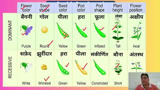 Heredity part 2 class 10 [upl. by Derry]