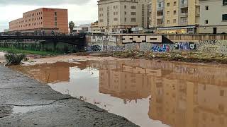 Río Guadalmedina centro de Málaga 29 Octubre 2024 [upl. by Debora19]