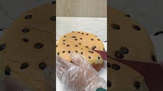 Castella Cake castella castellacake cake baking bakingrecipes cakeviral cemilan cemilanenak [upl. by Ihsar]