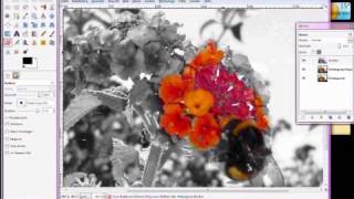 Gimp Tutorial deutsch Colorkey [upl. by Sinnel]