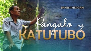 Pangako ng Katutubo  PANININDIGAN [upl. by Euqinotna91]