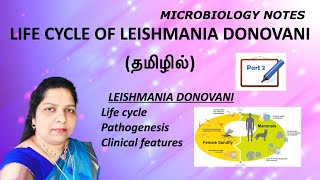 Life cycle of Leishmania donovani  Pathogenesis  clinical features  sandfly  Tamil [upl. by Jay]