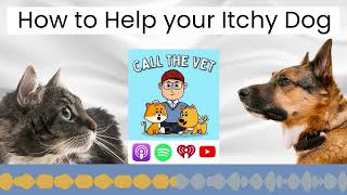 How to Help your Itchy Dog [upl. by Audwen]