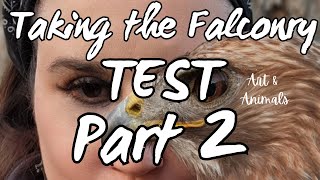 Taking the FALCONRY EXAM  Part 2 Live [upl. by Neille]