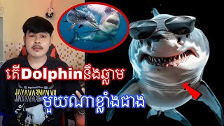 តើDolphin នឹងត្រីឆ្លាមមួយណាខ្លាំងជាង [upl. by Oicnanev350]