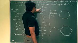 Pyranose Cyclic Structure Of Fructose with Haworth Representation [upl. by Argella]