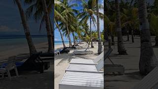 White Sands CrystalClear Waters and Coconut Trees Dumaluan Beach Bohol [upl. by Cuttler]