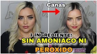 Matizador CASERO sin Peróxido ni AMONIACO para CANAS y Platinar cabello  lizzmuller [upl. by Acinoed]