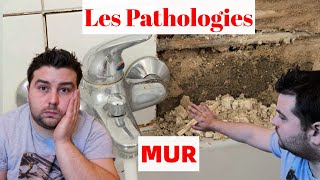 Comment Éviter des Sinistre sur un Carrelage MUR [upl. by Jarv]