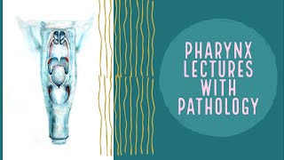 PHARYNX lecture 4 HYPOPHARYNX in deatil and PYRIFORM fossa complete explanation [upl. by O'Neill]