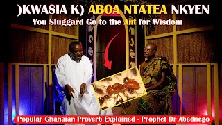 You Sluggard Go to the Ant and Learn His Ways for Wisdom  Prophet Dr Abednego Goes Deep [upl. by Aryl]