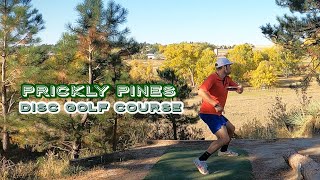 101424 Prickly Pines Disc Golf Course Full Round 6 Personal Best [upl. by Akcirret]