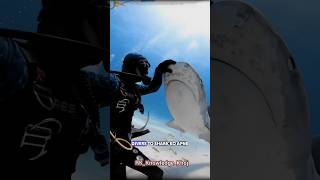 Sharks  Shark Attacks  Shark and Mane  why Shark is not attacking scooba Diver shark fact [upl. by Doykos629]