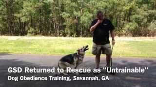 Can LowCountry Dog Trainers train an untrainable dog [upl. by Mit]