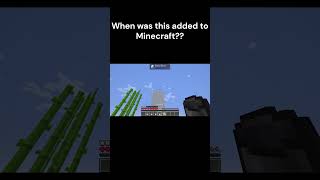 I bet good money no one will use this feature  gaming minecraft [upl. by Ahsitniuq527]