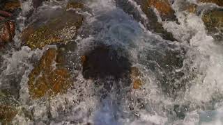 bubbling mountain river water washing brown rocks [upl. by Lebiralc]