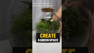 Create a Green Space terrarium design howtocreatelogodesign [upl. by Anniram]