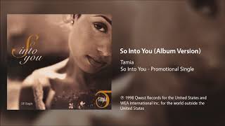 Tamia  So Into You Album Version [upl. by Lesde]