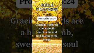 Proverbs 1624 🙏 short prayer proverbs [upl. by Rubie948]