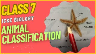 CLASS 7 Tutorial Animal Classification  Biology  ICSE [upl. by Aikcin]