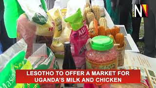 Lesotho to offer a market for Uganda’s milk and chicken [upl. by Lairea]