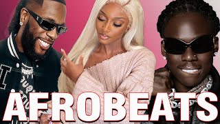 AFROBEATS MIX 2024 🔥 TOP OF NAIJA AFROBEAT VIDEO MIX 2024  AMAPIANO 2024  WIZKID  TYLA  OMAH LAY [upl. by Henrietta]