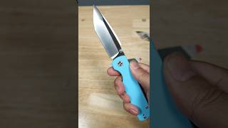 THIS COULD BE THE BEST BUDGET EDC KNIFE UNDER 50 CJRB NOVA FULL KNIFE REVIEW [upl. by Aw]