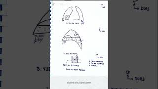 Épanchement pleural et ponction pleurale [upl. by Htedirem]