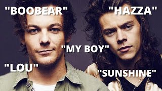 larry stylinson calling each other pet names for 3 minutes gay [upl. by Corenda]