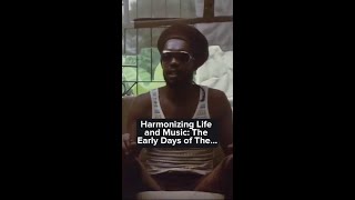 Peter Tosh  Harmonizing Life and Music [upl. by Keel]