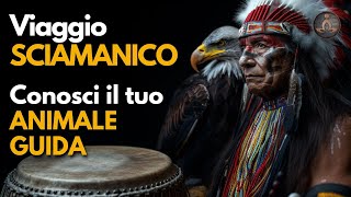 Viaggio Sciamanico alla Ricerca del Tuo Spirito Guardiano  Incontra il Tuo Animale Guida [upl. by Jem]