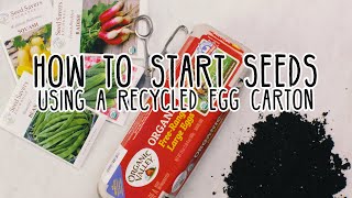 How to Start Seeds Indoors with a Recycled Egg Carton  Organic Valley [upl. by Fatima]