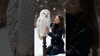 Winter Magic A Girl and Her Snowy Owl in Gentle Snowfall [upl. by Llertram401]