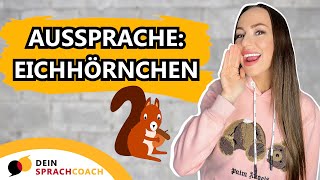 SO SPRICHST DU „EICHHÖRNCHEN“ RICHTIG AUS korrekte Aussprache Deutsch Shorts [upl. by Rollecnahc716]