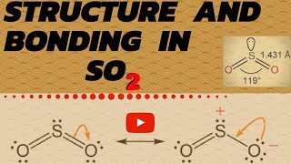 structure and bonding in so2 [upl. by Angelle730]