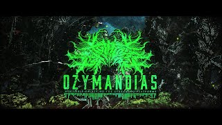 XENOTHEORY  OZYMANDIAS OFFICIAL LYRIC VIDEO 2024 SW EXCLUSIVE [upl. by Kelli498]