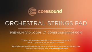 Coresound Pads  Orchestral Strings  Full Sample Key of D [upl. by Goody]