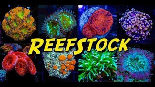 ReefStock 2018 [upl. by Ardnek655]