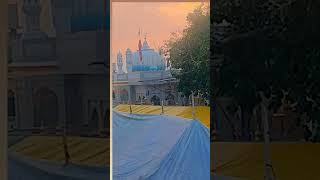 Goga Medi chhapar punjab [upl. by Nodnart]