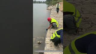 Riverbank Protection Gabion Mesh Constructing Technique [upl. by Sven834]