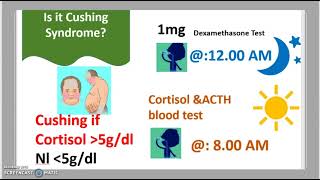 Dexamethasone suppression test Cushings Syndrome Vs Cushings Disease High dose Vs LowDose 3 mn [upl. by Llerahs]