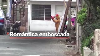 ¡Feliz San Valentín hijo de tu  Se disfraza de OSO DE PELUCHE para capturar narcotraficante [upl. by Vickie]