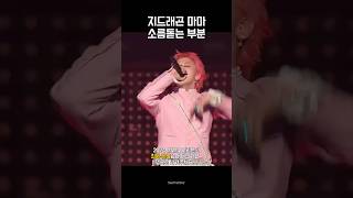 24년 마마 여러분의 최애 장면은 지드래곤 태양 대성 [upl. by Stets50]